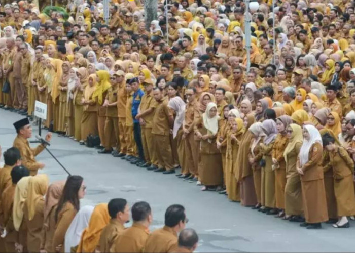 Seluruh PPPK Paruh Waktu Daerah Bakal Diangkat Penuh Waktu Mulai Januari 2027 dan Dibiayai APBN