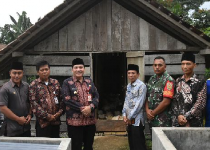 Budidaya Ayam Ternak dapat Meningkatkan Perekonomian Masyarakat di Kabupaten Sarolangun Jambi