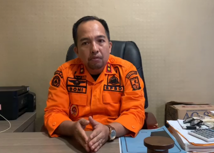 Karhutla di Kota Jambi Capai 83 Kejadian, Agustus dan September Tertinggi