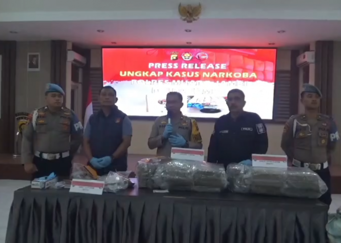 Polres Muaro Jambi Gagalkan Penyelundupan 30 Kilogram Ganja Lintas Provinsi