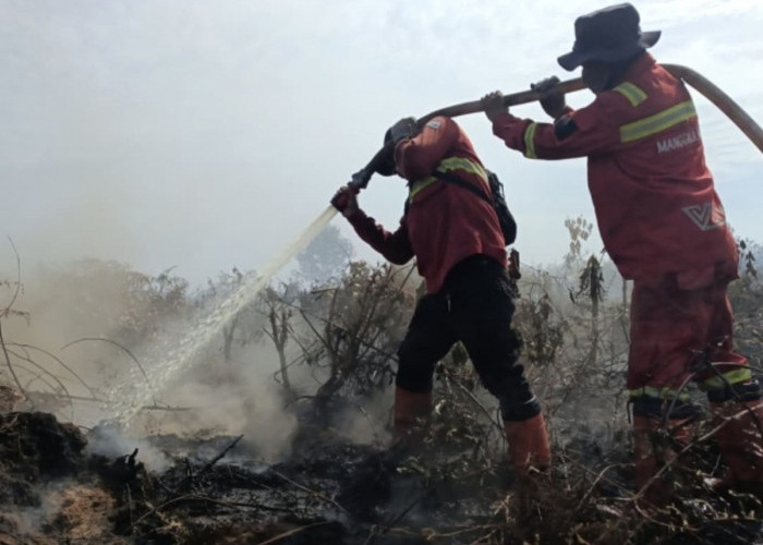 Manggala Agni Padamkan Karhutla Seluas 7,5 Hektare di Rokan Hilir