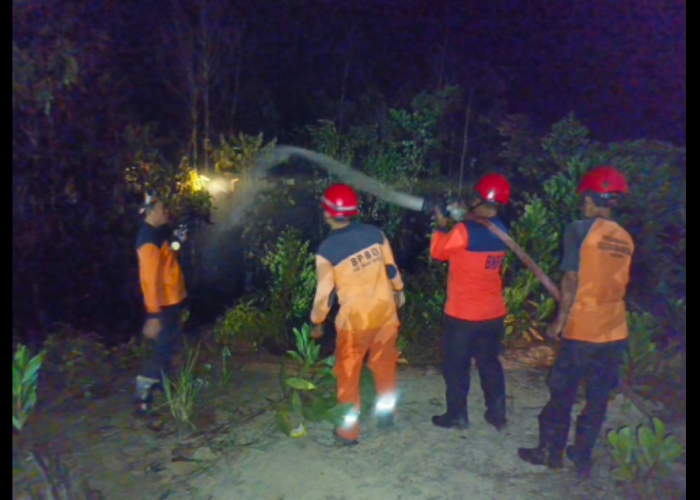 Karhutla, BPBD Catat 0,5 Hektare Lahan Terbakar di Terjun Jaya