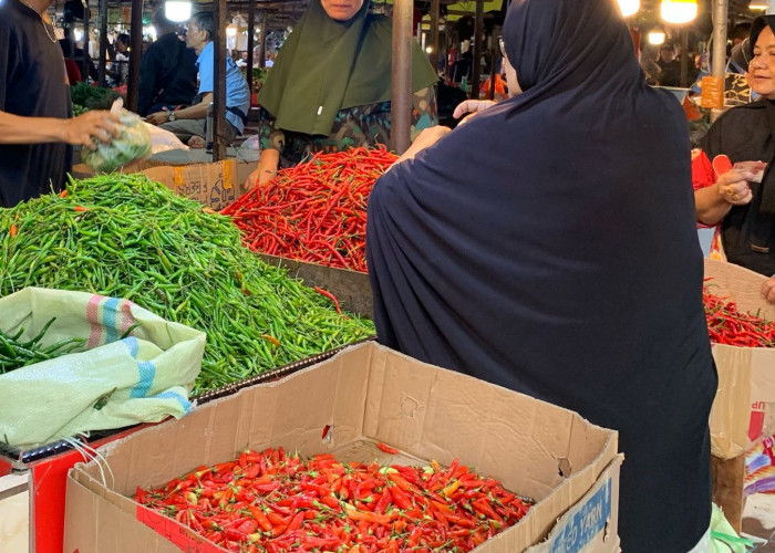 Memasuki Hari Kedua Ramadan 2026, Harga Cabai Melonjak, Rawit Merah Tembus Rp100 Ribu Per Kilogram