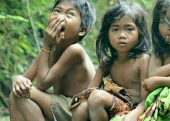 Suku Anak Dalam, Penjaga Hutan Jambi yang Menghadapi Tantangan Modern