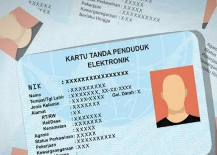 Waspadai Penyalahgunaan NIK! Ini Cara Cek Apakah KTP Kamu Dipakai untuk Pinjaman Online (Pinjol) Ilegal