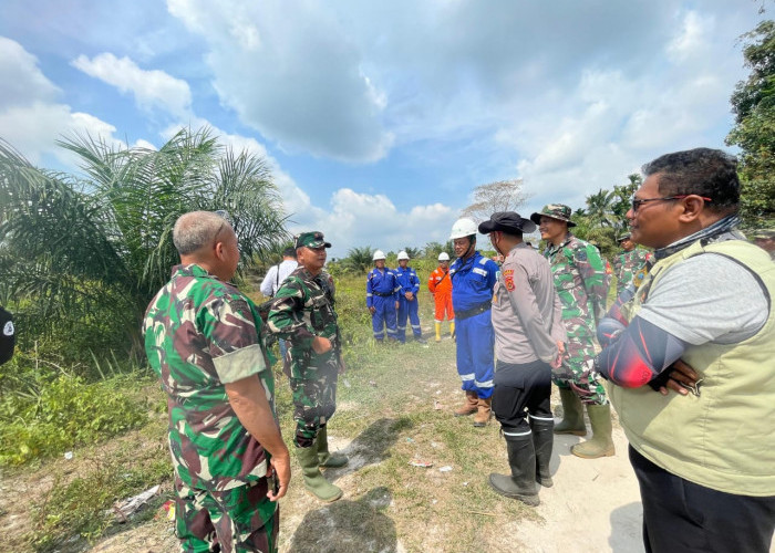 Total Lahan Terbakar Di Betara Capai 20 Hektare