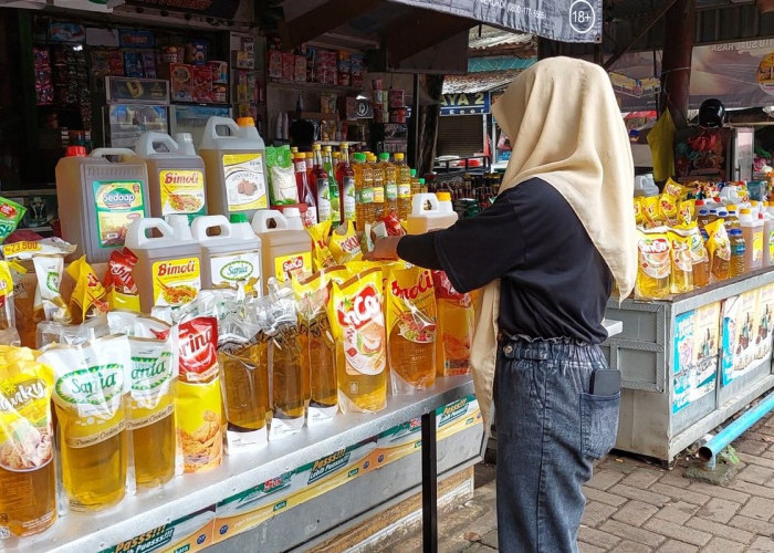 Intip Harga Minyak Goreng Terbaru di Kota Jambi, Komoditas Premium dan Curah Masih Bertahan Tinggi