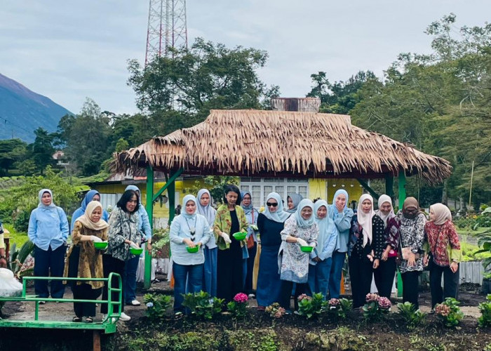 Jaga Ketahanan Pangan, IKBI PTPN Sebar Ikan Nila di kolam Stunting 