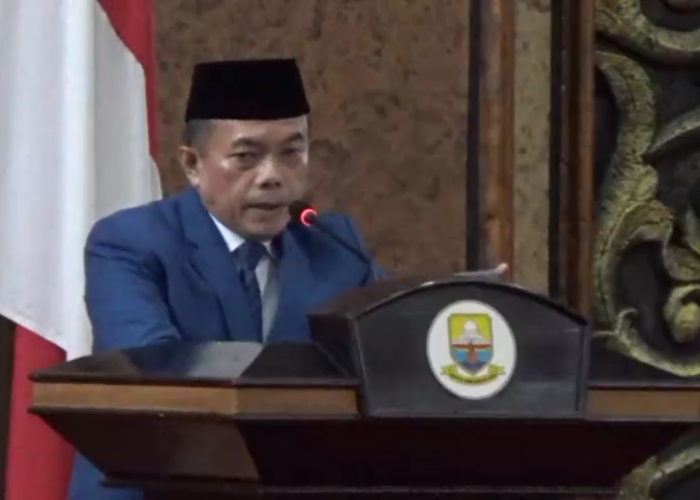 Tindak Tegas Karhutla, Pemprov Jambi Siapkan Perda dan Pergub Baru