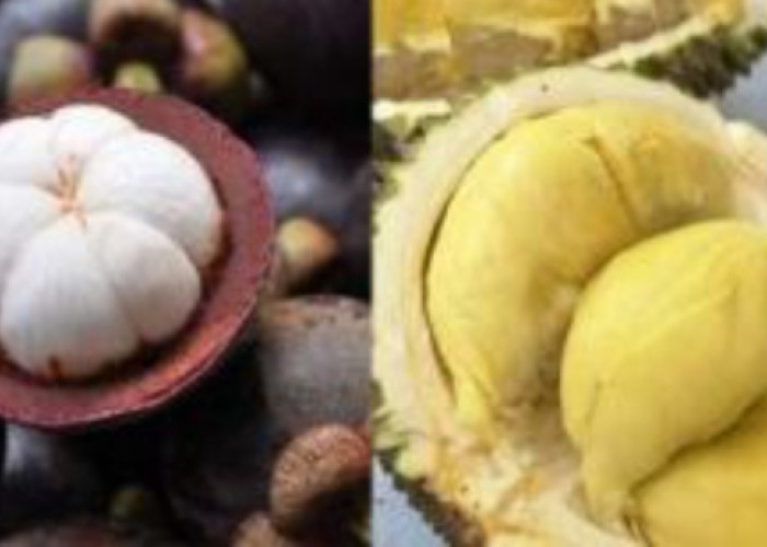 Manggis vs Durian: Perbandingan Nutrisi dan Rasa