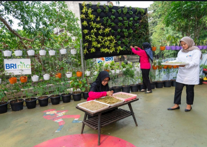 BRI Diakui atas Peran Nyata dalam Urban Farming dan Pemberdayaan  Perempuan