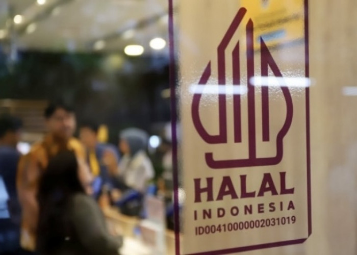 Produk Impor Tetap Bisa Masuk, Wajib Penuhi Aturan Halal