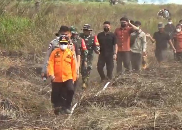 Gubernur, Kapolda, dan Danrem Jambi Terjun Langsung Padamkan Karhutla di Lahan Gambut Tanjabtim