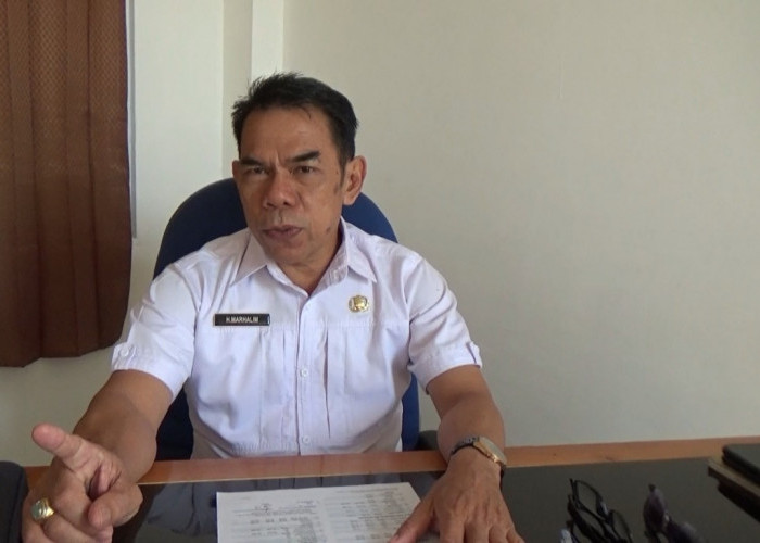 DISKOPERINDAG Pastikan Pasokan Sembako Aman Meski Harga Masih Fluktuatif