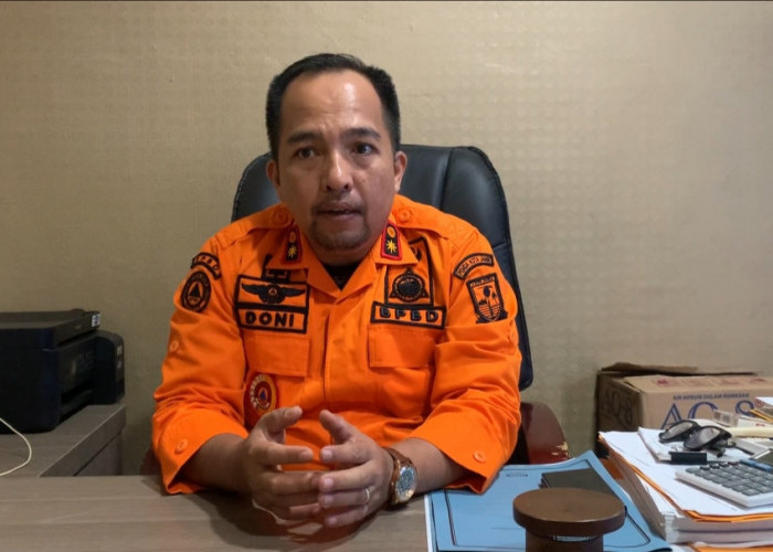 Kasus Karhutla di Kota Jambi Capai 83 Kejadian, Agustus dan September Jadi Puncak Kebakaran