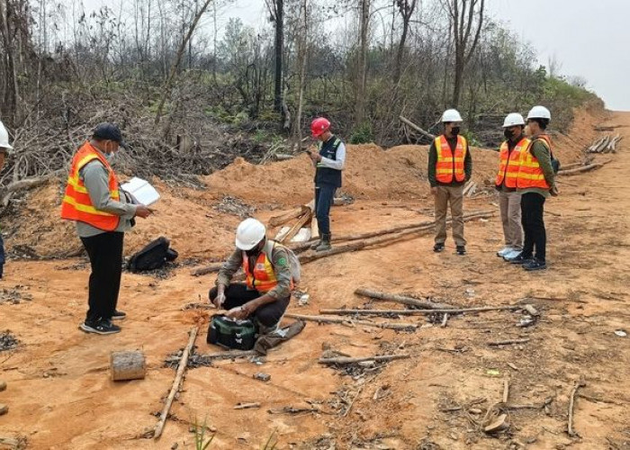 Kemenhut Tetapkan Dua Perusahaan sebagai Tersangka Kasus Karhutla, Satu Berstatus PMA Singapura