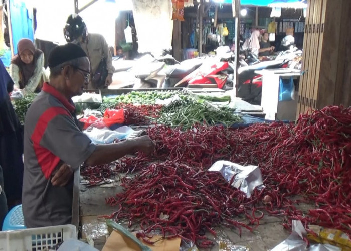 Harga Cabai Merah di Kuala Tungkal Melonjak Jadi Rp80 Ribu per Kilogram