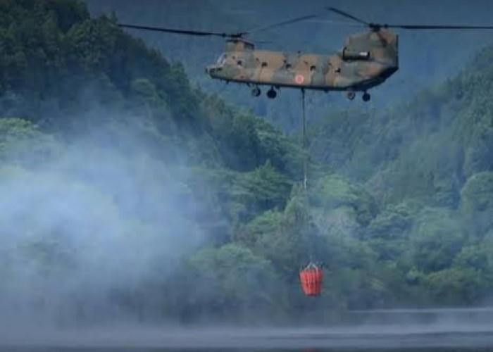 Bantu Atasi Karhutla Kalimantan, Jepang Kerahkan 600 Personel dan Tiga Helikopter