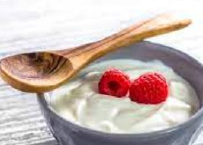 Manfaat Mengkonsumsi Yogurt Greek Setiap Hari: Kesehatan Tubuh dan Pencernaan yang Optimal