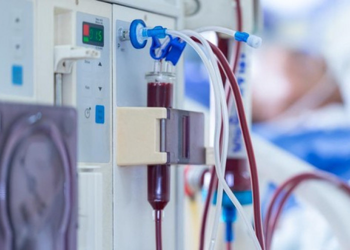 Gaya Hidup Praktis Picu Lonjakan Diabetes dan Gagal Ginjal pada Anak Muda