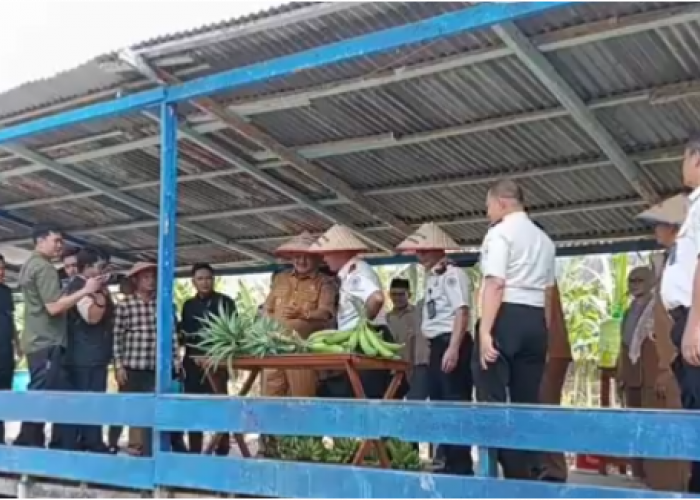 Gelar Panen Raya, Lapas Kelas IIB Kuala Tungkal Siap Jadi Sumber Pangan Daerah  