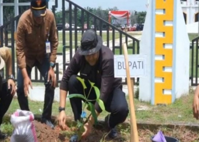 Kolabirasi Bersama Generasi Muda, Merangin Tanam 4.000 Pohon Serentak Dengan Menteri LH