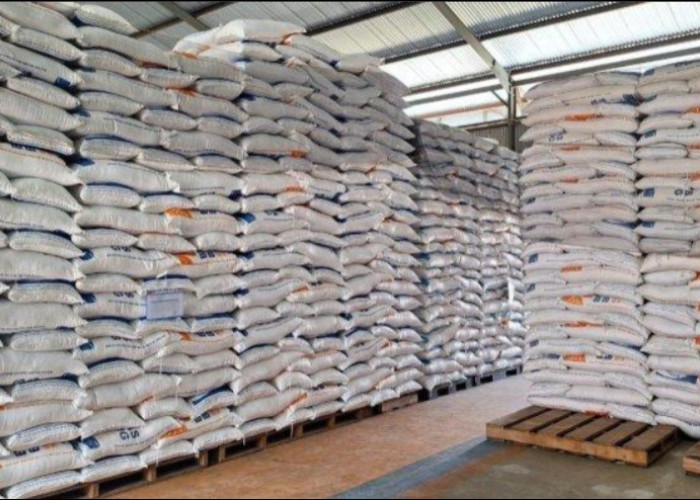 BULOG Jambi Pastikan Stok Beras dan Minyak Goreng Sangat Aman, Masyarakat Diimbau Tidak Panik