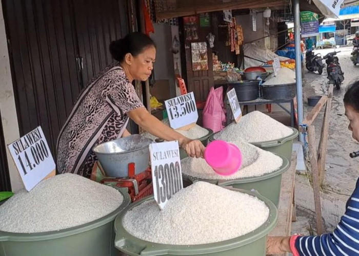 Stok Aman, Harga Beras di Sejumlah Pasar Tradisional Kota Jambi Terpantau Stabil Akhir Juli 2026