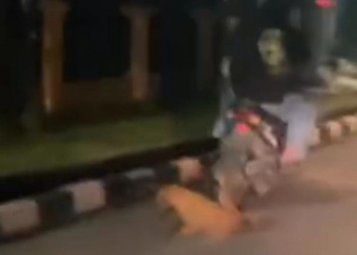 Heboh!! Pengendara Motor di Kota Jambi Seret Anjing dengan Mengikat Sebelah Kakinya