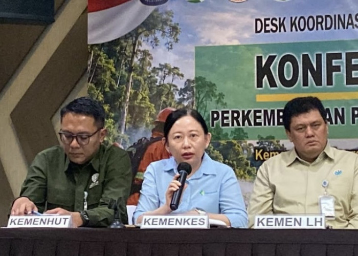 Kemenkes Ungkap 283 Ribu Kasus ISPA di Wilayah Terdampak Karhutla, Balita Ikut Terdampak