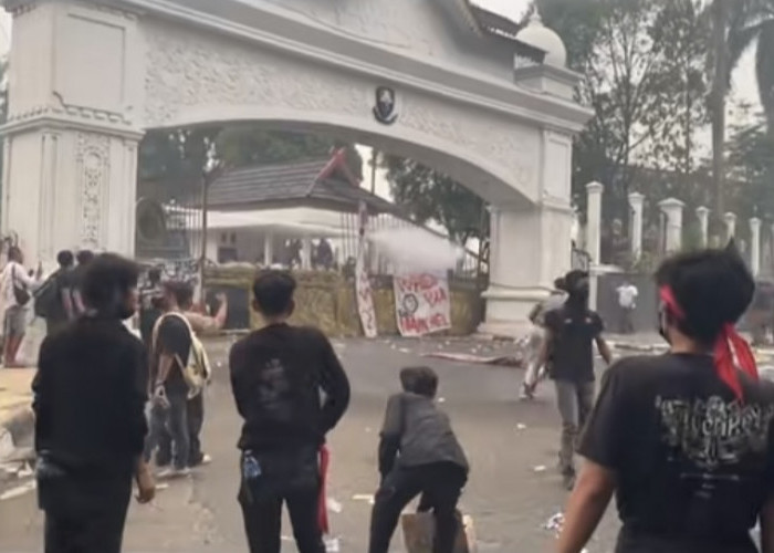 Karhutla Picu Demo di Kantor Gubernur Jambi, Pemprov Siapkan ASN Muda Bantu Pemadaman
