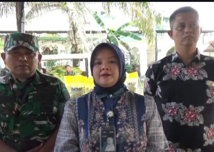 Bulog Sinergi Bersama Tni, Beras Sphp Dan Banpang Jadi Program Utama