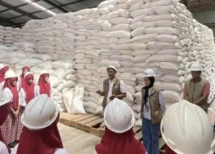 Bulog Jambi Pastikan Stok 10.955 Ton Beras Cadangan Aman Penuhi Kebutuhan Empat Bulan