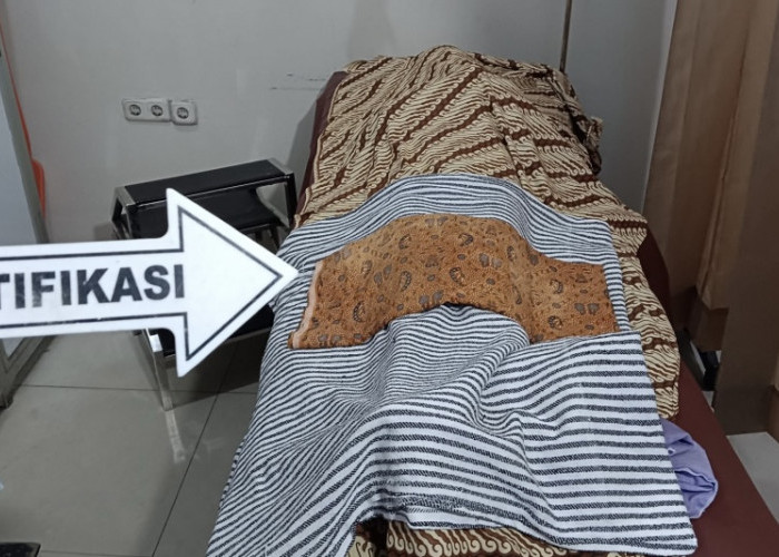 Perkelahian Pelajar di Telanaipura Berujung Maut, Siswa 14 Tahun Meninggal Dunia
