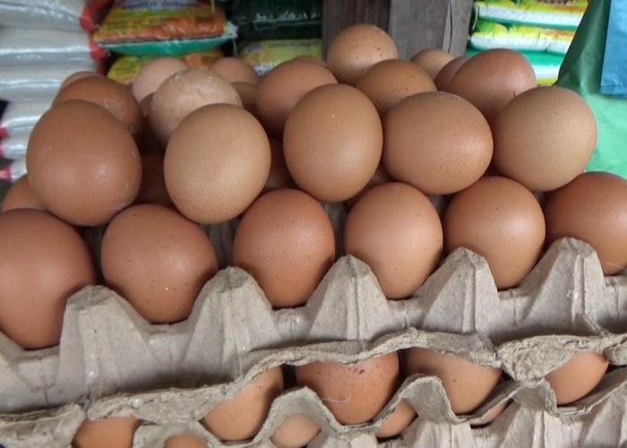 Harga Telur dan Gula Pasir Naik, Pedagang Sebut Ini Telah Terjadi Hampir Dua Pekan di Kuala Tungkal
