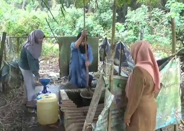 Kekeringan Panjang, Warga Tanjung Pauh Muaro Jambi Andalkan Sumur Sekolah hingga Buat Sumur Baru 