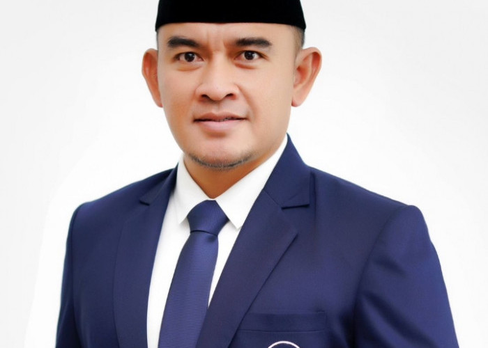 Putra Jambi, Rahmat Trianto Lewat Dapil Kalimantan Selatan II Raih Kursi DPR RI