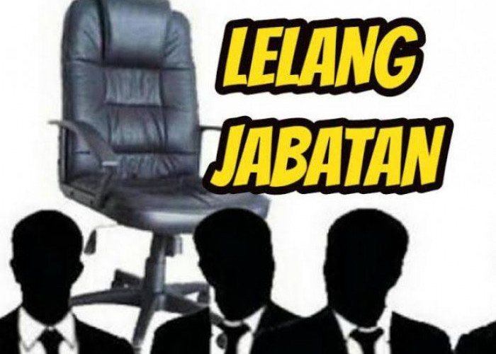 Pemprov Jambi Rilis 29 Peserta Lolos Kualifikasi Lelang Jabatan Eselon II, Ini Nama-namanya!