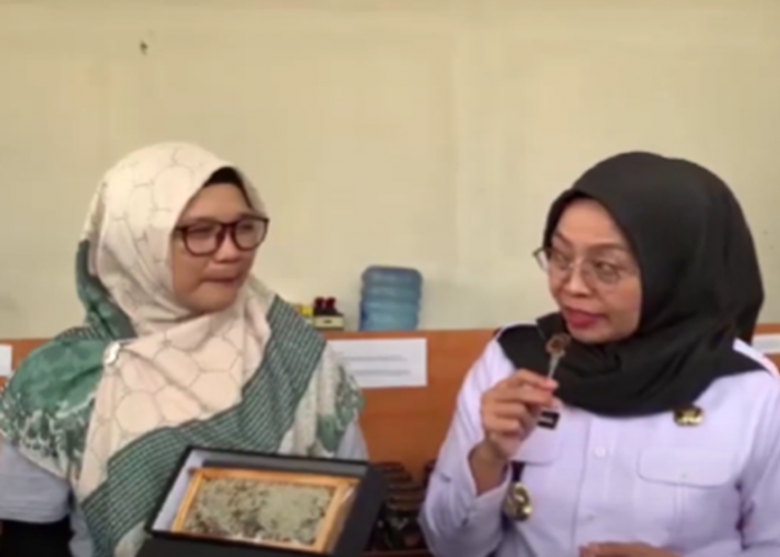 PJ Wali Kota Jambi Kunjungi Rumah Budidaya Lebah Madu