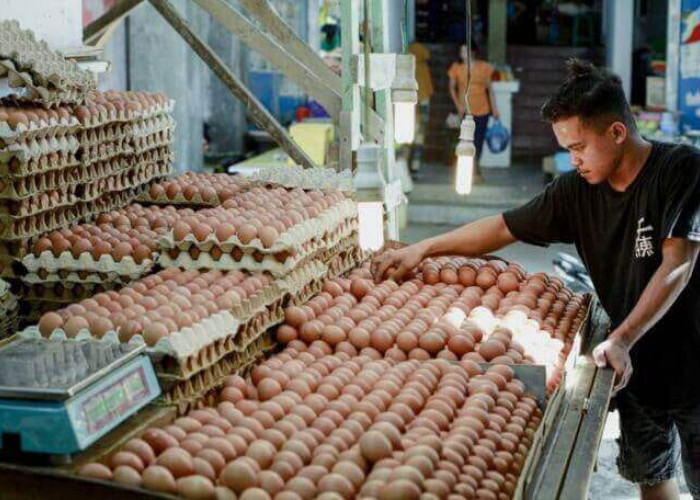 Pasokan Stabil, Harga Eceran Menyesuaikan