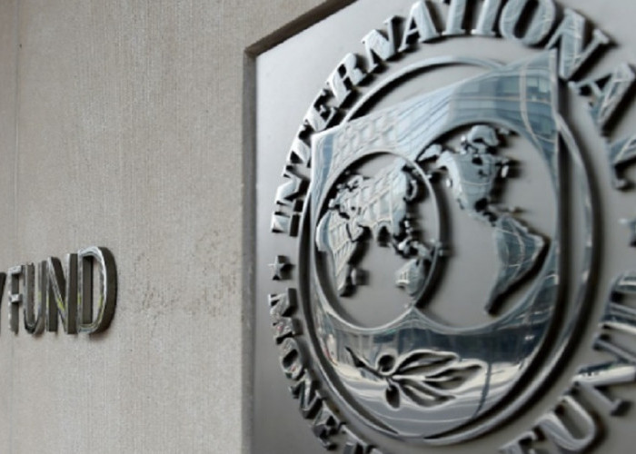 IMF Minta Indonesia Pertimbangkan Rencana Hilirisasi Nikel, Analisis Biaya dan Manfaat Harus Diperdalam