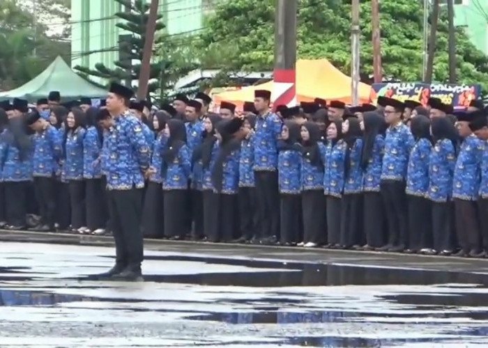 Hasil Evaluasi OPD, 2.332 PPPK Paruh Waktu Akan Diperpanjang Kontrak  