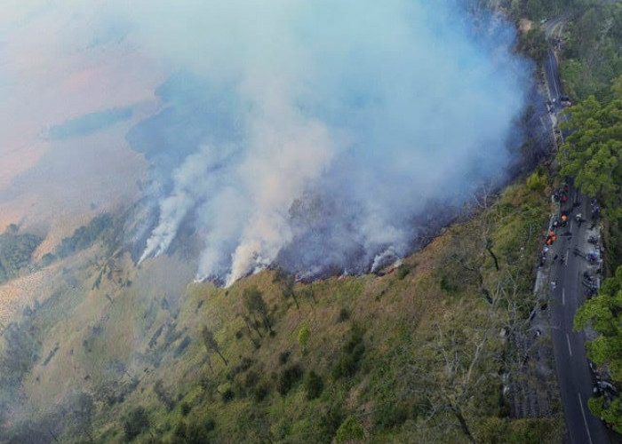 Area Terbakar di Gunung Bromo Mencapai 60 Hektar