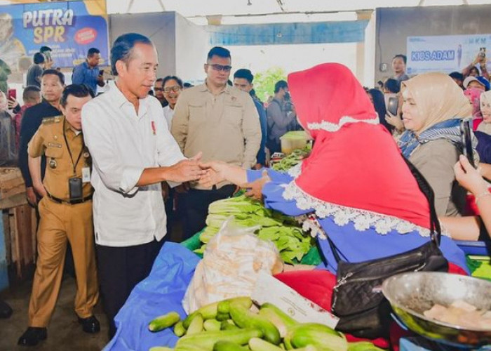 Wilayah Merangin, Presiden Jokowi Pastikan Harga Bahan Pokok Stabil Menjelang Lebaran Idul Fitri 2024 di Jambi