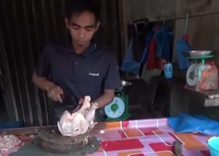 Pedagang Sebut Sepekan Harga Ayam Potong Masih Stabil 35 Ribu Perkilo 