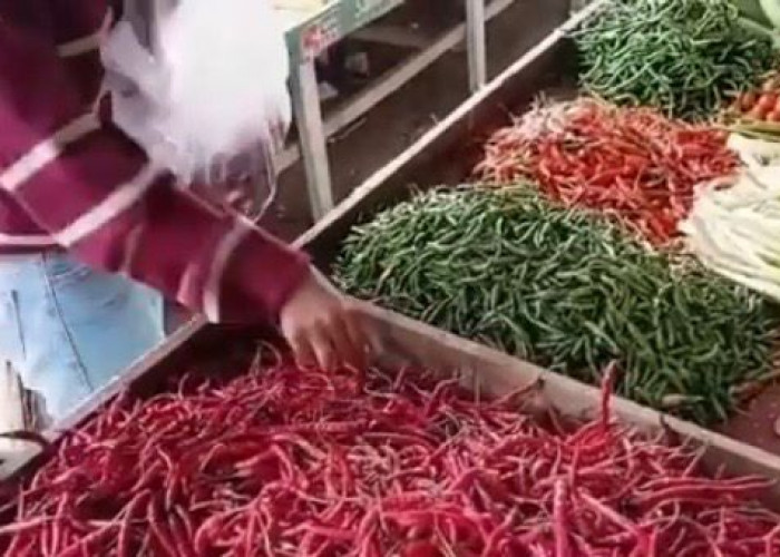 Harga Bahan Pokok di Kota Jambi 29 Januari 2026 Masih Terkendali, Cabai Alami Pergerakan Harga