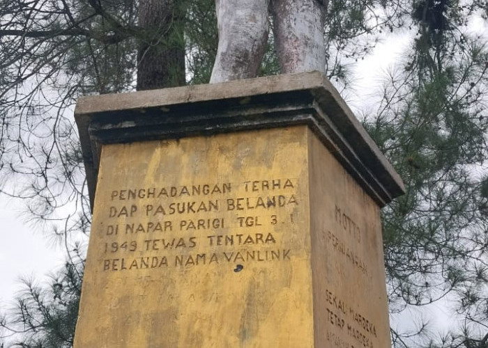 Desa Tumpuk Tangah: Potensi Wilayah, Jejak Sejarah, dan Kekayaan Alam