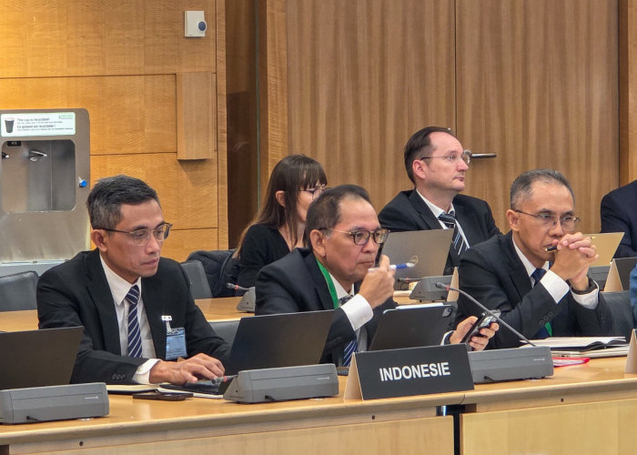 Ojk Tegaskan Penguatan Sistem Dana Pensiun Nasional Dalam Forum  Oecd Financial Markets Week