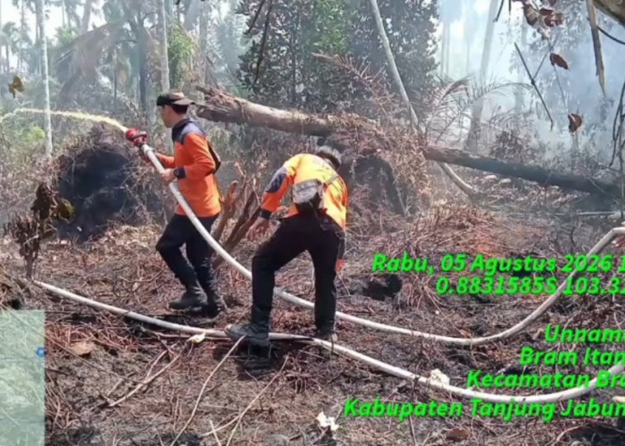 Luas Lahan Terbakar di Tanjung Jabung Barat Capai 177,7 Hektare