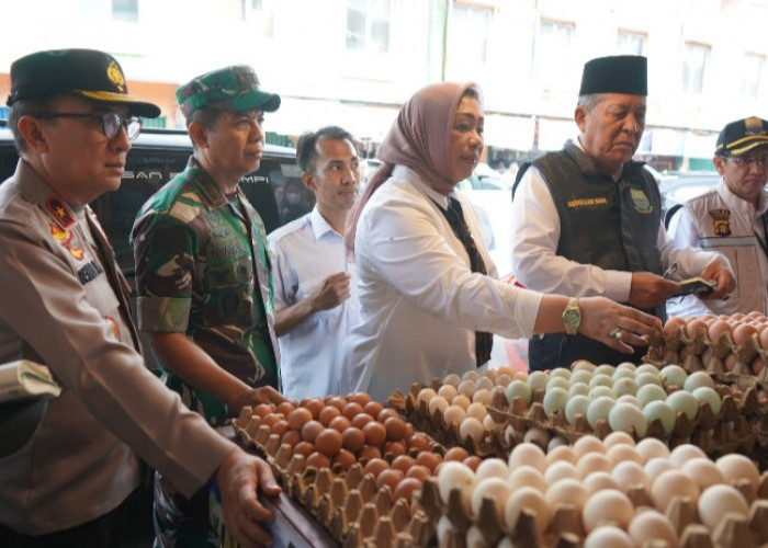 Pantau Langsung Stok dan Harga Sembako, Danrem 042/Gapu dan Wakil Gubernur Jambi Turun ke Pasar Angso Duo